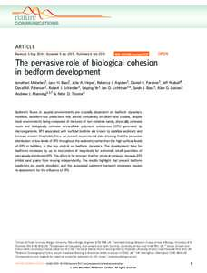 The pervasive role of biological cohesion in bedform development