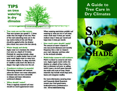 A Guide to Tree Care in Dry Climates TIPS on tree