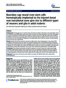 Developmental changes in human dopamine neurotransmission: cortical receptors and terminators