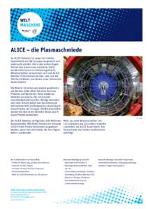 WELT MASCHINE ALICE – die Plasmaschmiede Im ALICE-Detektor (A Large Ion Collider Experiment) soll die Ursuppe hergestellt und