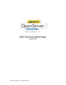 Microsoft Word - OpenServer_6_Technical White Paper_dz.doc