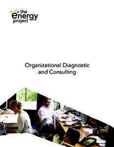 Organizational Diagnostic and Consulting the current state  I
