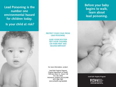 Before your baby begins to walk, learn about lead poisoning.  Lead Poisoning is the