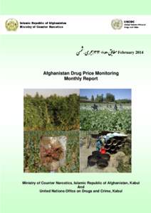 Microsoft Word - Afghanistan Drug Price Monitoring February 2014.doc