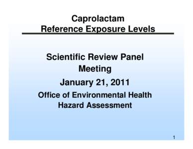 Caprolactam Reference Exposure Levels Scientific Review Panel Meeting January 21, 2011 Office of Environmental Health