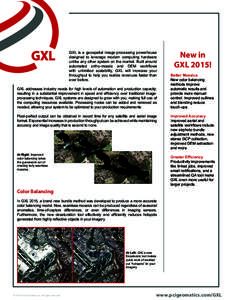 GXL is a geospatial image-processing powerhouse designed to leverage modern computing hardware unlike any other system on the market. Built around automated ortho-mosaic and DEM workflows with unlimited scalability, GXL 