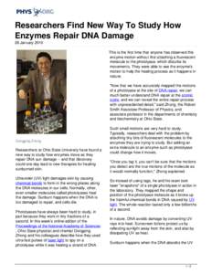 Researchers Find New Way To Study How Enzymes Repair DNA Damage