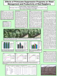 Effects of Primocane Suppression Programs on Weed Management and Productivity of Red Raspberry Timothy W. Miller, Extension Weed Scientist Washington State University Northwestern Washington Research and Extension Center
