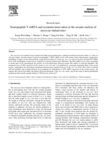 Brain Research 790 Ž[removed]–73  Research report Neuropeptide Y mRNA and serotonin innervation in the arcuate nucleus of anorexia mutant mice
