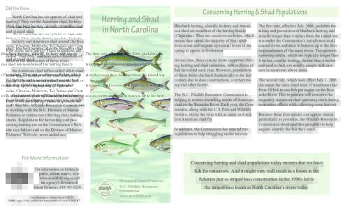 Did You Know . . . .  ? . . . North Carolina has six species of shad and herring? They are the American shad, hickory