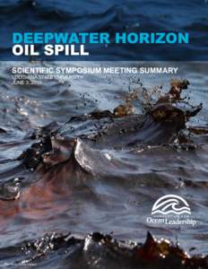 Deepwater Horizon Oil Spill SCIENTIFIC SYMPOSIUM MEETING SUMMARY LOUISIANA STATE UNIVERSITY JUNE 3, 2010