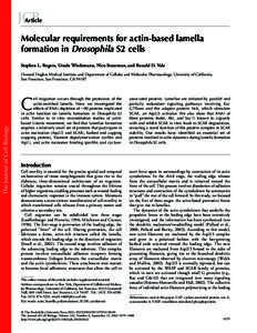 JCB Article Molecular requirements for actin-based lamella formation in Drosophila S2 cells Stephen L. Rogers, Ursula Wiedemann, Nico Stuurman, and Ronald D. Vale Howard Hughes Medical Institute and Department of Cellula