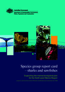 species group report card - sharks and sawfishes- Supporting the marine bioregional plan for the North-west Marine Region