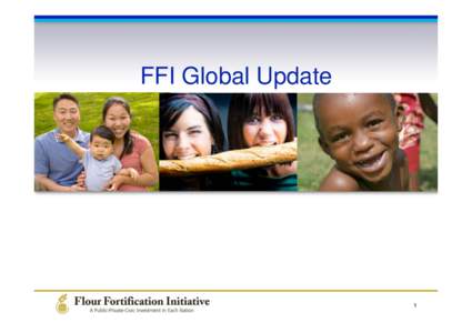 FFI Präsentation Global_Update_2008.ppt
