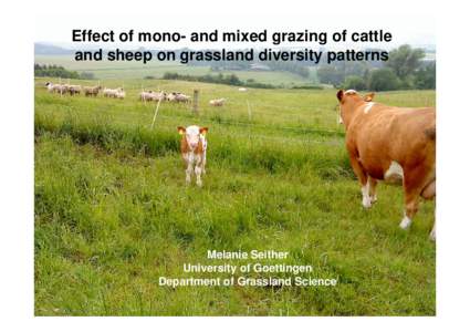 Effect of mono- and mixed grazing of cattle and sheep on grassland diversity patterns Melanie Seither University of Goettingen Department of Grassland Science