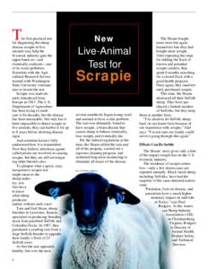 T  he first practical test for diagnosing the sheep disease scrapie in live animals may help the