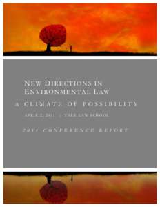 NEW DIRECTIONS IN ENVIRONMENTAL LAW A CLIMATE OF POSSIBILITY APRIL 2, [removed]