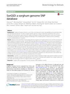 Biology / Genetics / Molecular biology / Cereals / Biotechnology / DNA / Single-nucleotide polymorphism / Genome-wide association study / Sorghum bicolor / Molecular breeding / Whole genome sequencing / Sorghum
