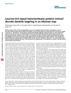 a r t ic l e s  Leucine-rich repeat transmembrane proteins instruct discrete dendrite targeting in an olfactory map  © 2009 Nature America, Inc. All rights reserved.