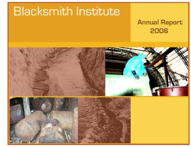 Blacksmith Institute  Annual Report 2006  Blacksmith Institute