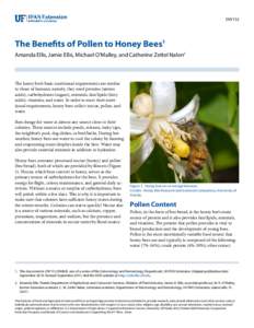 ENY152  The Benefits of Pollen to Honey Bees1 Amanda Ellis, Jamie Ellis, Michael O’Malley, and Catherine Zettel Nalen2  The honey bee’s basic nutritional requirements are similar