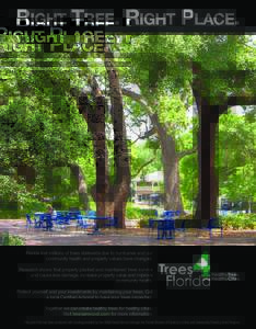 RIGHT TREE. RIGHT PLACE.  Florida lost millions of trees statewide due to hurricanes and our community health and property values have changed. Research shows that properly planted and maintained trees survive and cause 