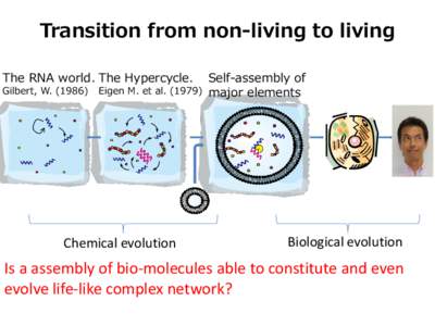 Transition from non-living to living The RNA world. The Hypercycle. Gilbert, W[removed]Eigen M. et al[removed])