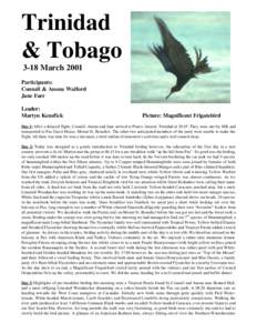 Birdfinders' Trinidad & Tobago 2001 tour report