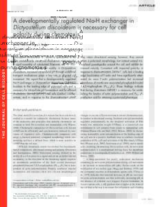 JCB: ARTICLE  Published April 25, 2005 A developmentally regulated Na-H exchanger in Dictyostelium discoideum is necessary for cell