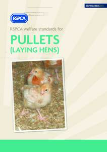 SEPTEMBER2013  RSPCA welfare standards for PULLETS (LAYING HENS)