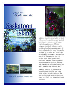 Whitney Lakes brochure WEB
