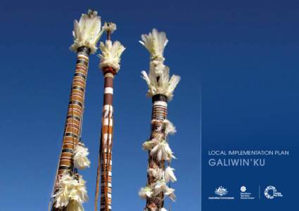 Local Implementation Plan  Galiwin’ku Artist: Gali Yalkarriwuy The Morning Star Pole (banumbirr) is a ceremonial emblem and an essential part of ritual. The Morning Star Pole is most commonly used in mortuary ceremoni