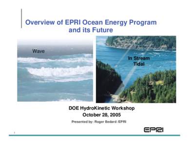 Overview of EPRI Ocean Energy Program and its Future Wave In Stream Tidal