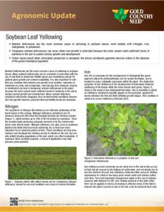    Soybean Leaf Yellowing • Nutrient deficiencies are the most common cause of yellowing in soybean leaves, most notably with nitrogen, iron, manganese, or potassium. • Temporary nutrient deficiencies can occur when
