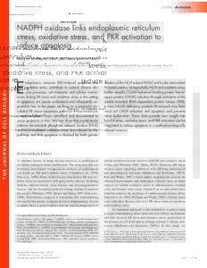 JCB: Article  Published December 6, 2010 NADPH oxidase links endoplasmic reticulum stress, oxidative stress, and PKR activation to