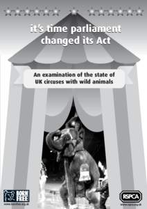 it’s time parliament changed its Act An examination of the state of UK circuses with wild animals