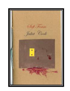 Dusie Kollektiv 4  Blood Pudding Press 2010 Artifact List: -Semi-Extraneous Consort