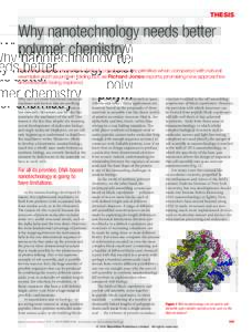 THESIS  Why nanotechnology needs better polymer chemistry The self-assembly properties of block copolymers are primitive when compared with natural examples such as protein folding but, as Richard Jones reports, promisin