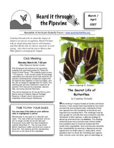 March / April 2007 Newsletter of the Austin Butterfly Forum • www.austinbutterflies.org Catalina Estrada tells us about the impact of mimicry on species recognition, Brush Freeman