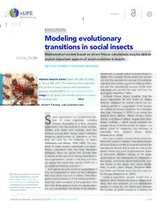 INSIGHT  EVOLUTION Modeling evolutionary transitions in social insects