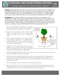 PLANTING AND MAINTAINING BUFFERS ~Using vegetation to protect water quality~ Portland Water District  Purpose: Vegetated buffers are trees, shrubs and groundcover plants that catch sediment and