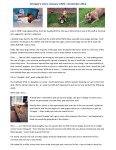 Scrappy’s story: January 1999 – DecemberLate in 1998 I had adopted Roxy from the Auckland SPCA, she was a little timid so one of the staff at the local vets suggested I get her a playmate. I decided to go back