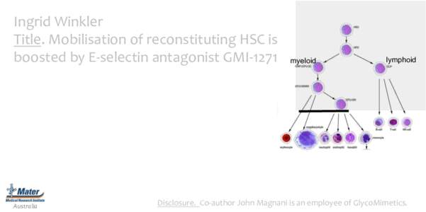 Ingrid	
  Winkler	
   Title.	
  Mobilisation	
  of	
  reconstituting	
  HSC	
  is	
   boosted	
  by	
  E-­‐selectin	
  antagonist	
  GMI-­‐1271	
  	
  	
  	
  myeloid Australia	
  