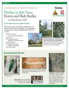 FH20N E B R A S K A F O R E S T S E RV I C E Decline in Ash Trees: Borers and Bark Beetles