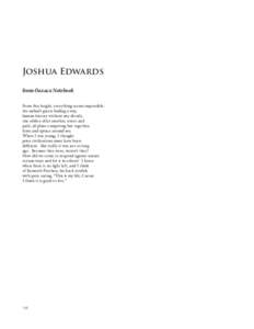 Joshua Edwards from Oaxaca Notebook From this height, everything seems impossible: the unbuilt green finding a way, human history without any details, one edifice after another, street and