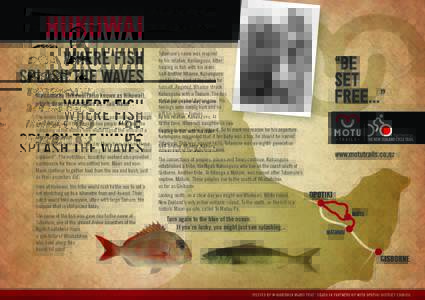 HUKUWAI WHERE FISH SPLASH THE WAVES Welcome to Hukuwai (also known as Hikuwai), which directly translates as “Tail Water”. The korero tukuiho — the oral stories passed down through