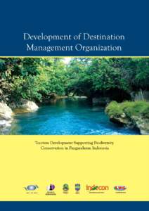 Report on Development of Destination Management Organization  P Introduction