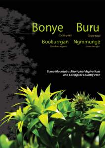 Bonye Buru (bon-yee) (boo-roo)  Booburrgan Ngmmunge