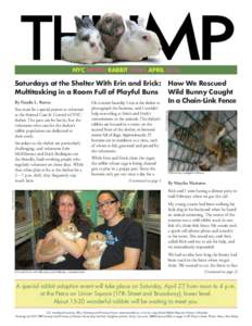 NYC METRO RABBIT NEWS APRILBy Natalie L. Reeves You must be a special person to volunteer at the Animal Care & Control of NYC shelter. The pace can be hectic, but the