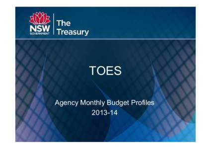 TOES - Agency Monthly Budget Profiles[removed]